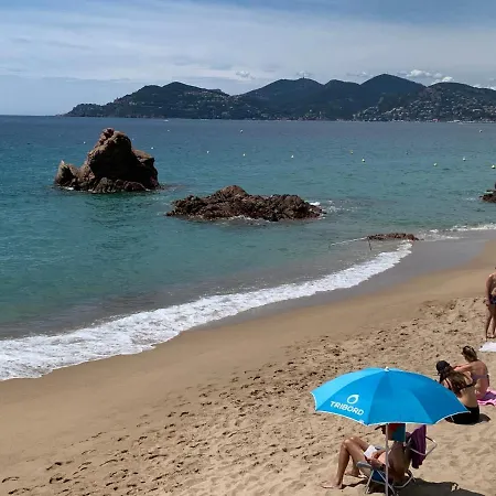 Le Palm Azur - Vue Sur Les Iles De Lerins Appartamento