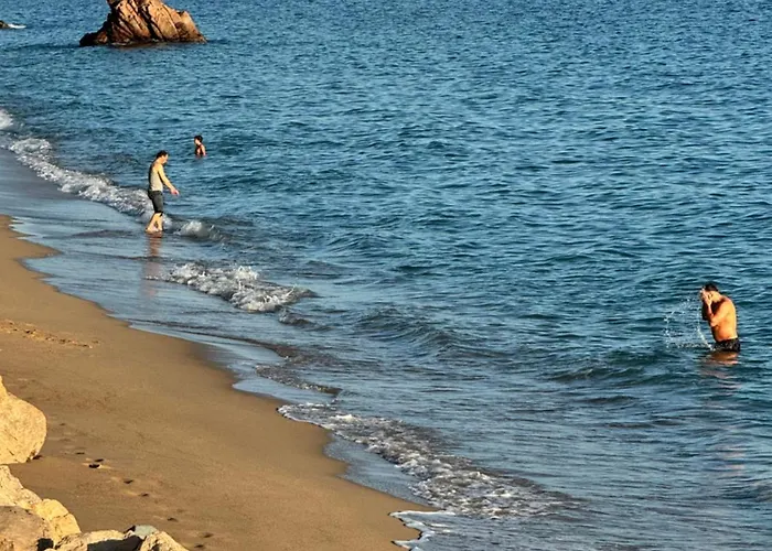 Le Palm Azur - Vue Sur Les Iles De Lerins شقة